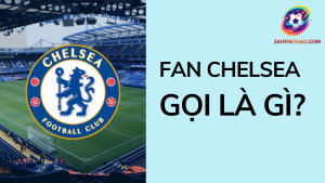 Fan Chelsea gọi là gì