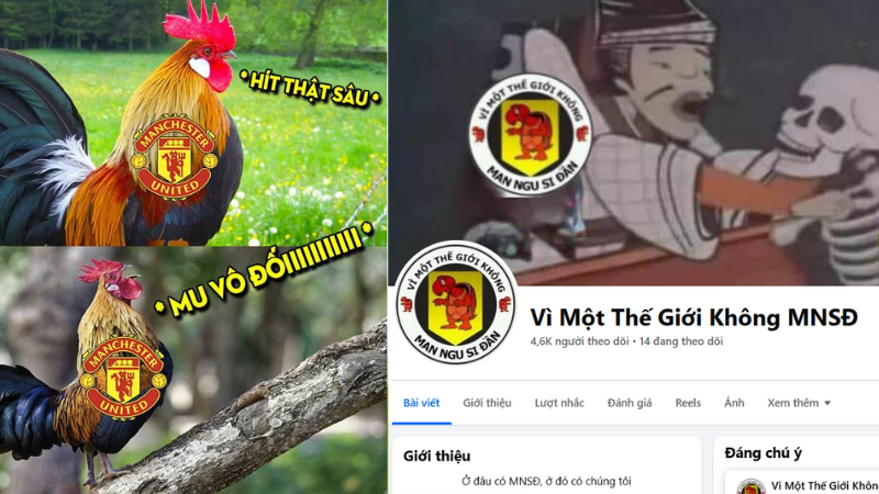 MU có khá nhiều fan phong trào kém chất lượng