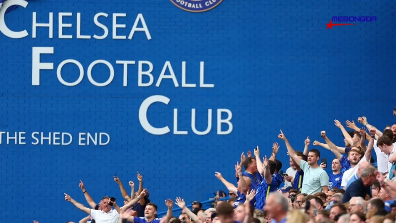 Chelsea - Đội bóng thành London có lượng fan tăng trưởng nhanh