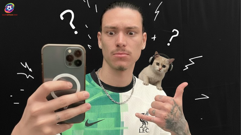 Bé mèo cute và Darwin dễ thương