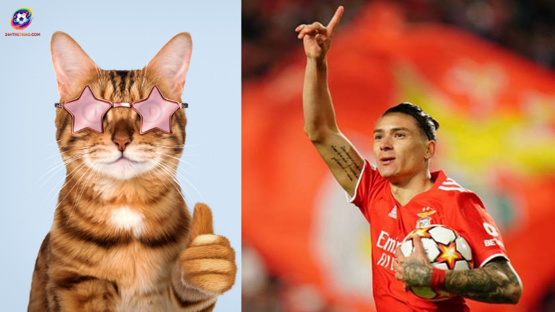 Darwin Nunez là tiền đạo người Uruguay