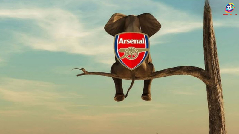 Hy vọng vô địch quen thuộc